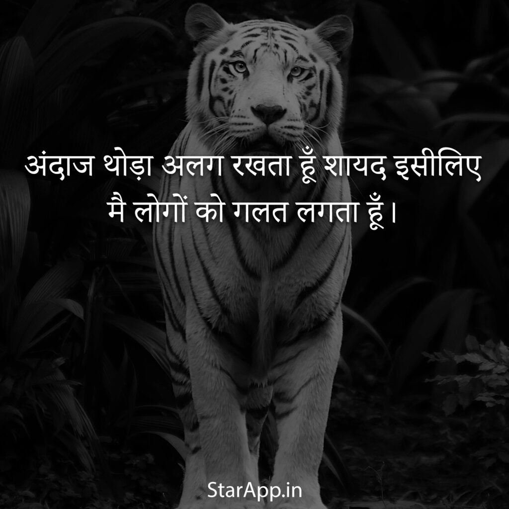 Powerful Attitude Status in Hindi with text and image