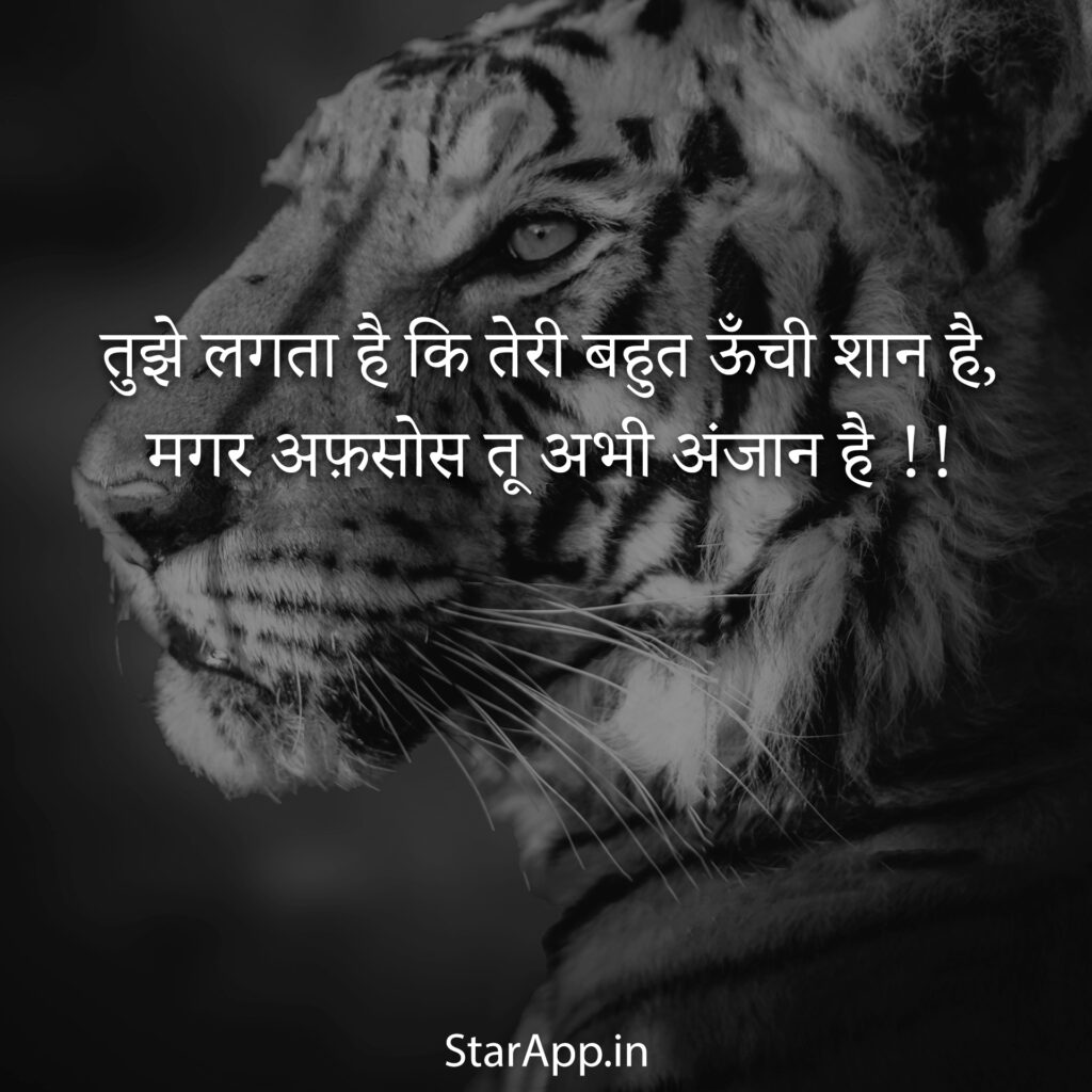 Attitude Status for Instagram in Hindi with Images Shayari ऐटिटूड स्टेटस हिंदीLatest Best
