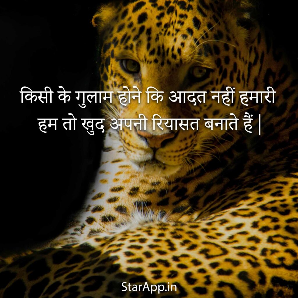 Fb Status King Faadu Attitude Nawabi Status Hindi