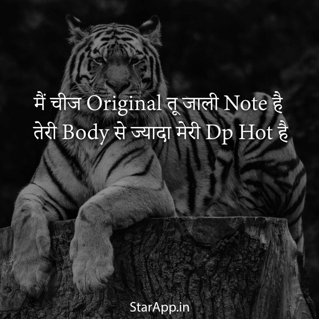 Best Attitude Status In Hindi लेटेस्ट टशन अकड़ Status For All