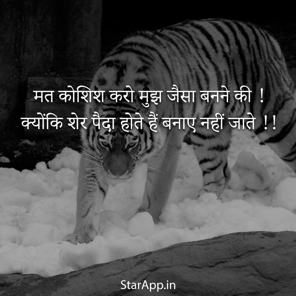 Best Attitude Hindi Status Lines Short Attitude Images & Quotes