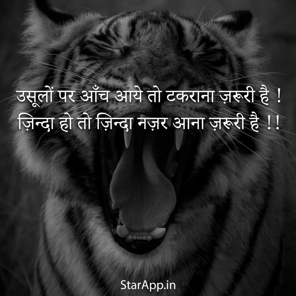 Alone Attitude Status in Hindi अकेला Shayari Quotes Font Best Shayari Status Quotes in Hindi