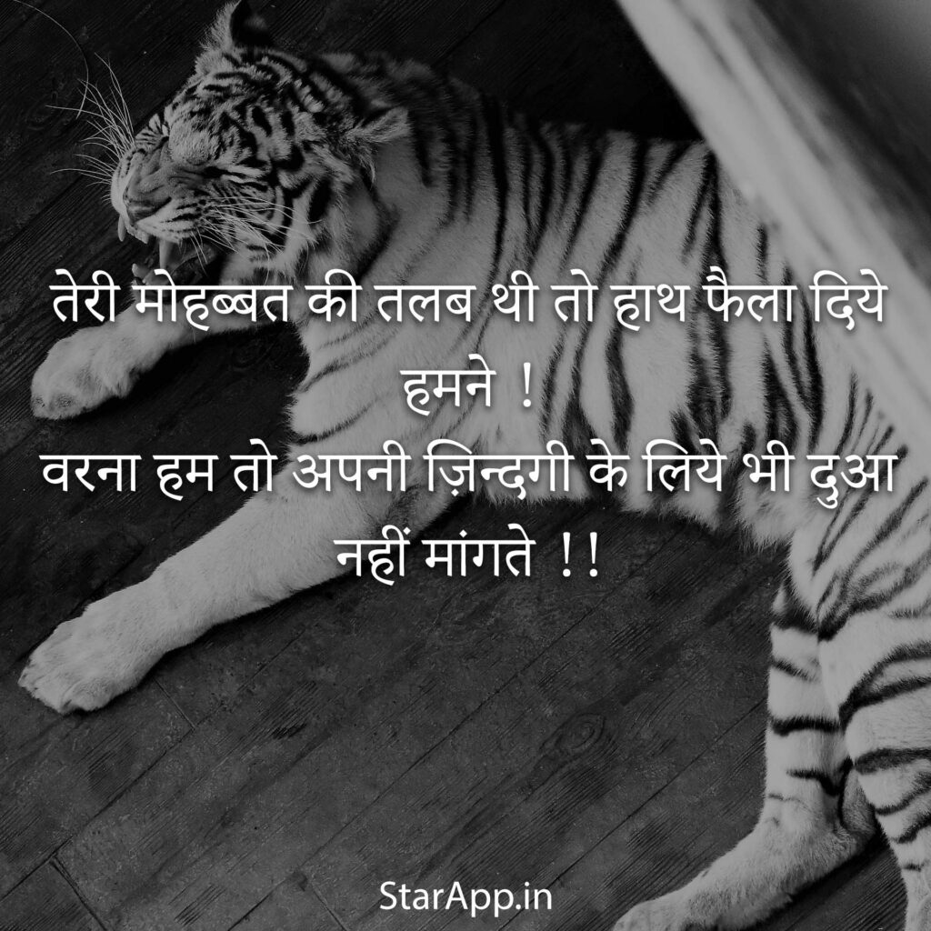 Best Attitude Shayari Attitude Status In Hindi & English