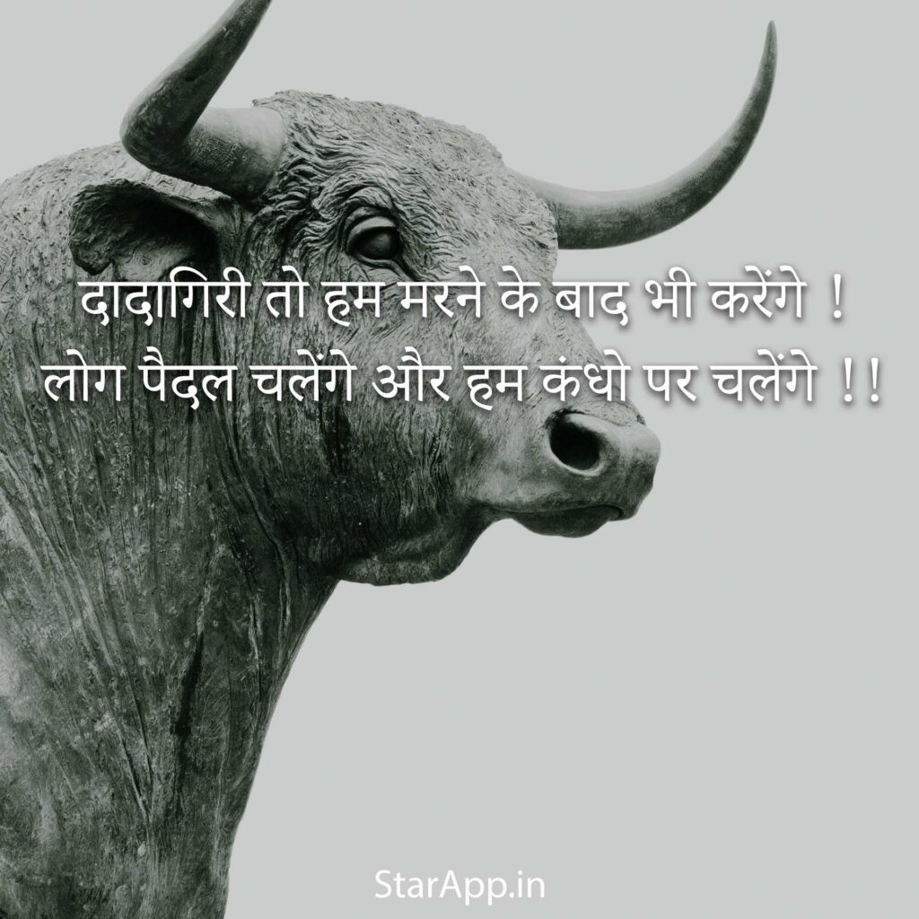Attitude Quotes Hindi Best Collection of Attitude Quotes Shayari & Status