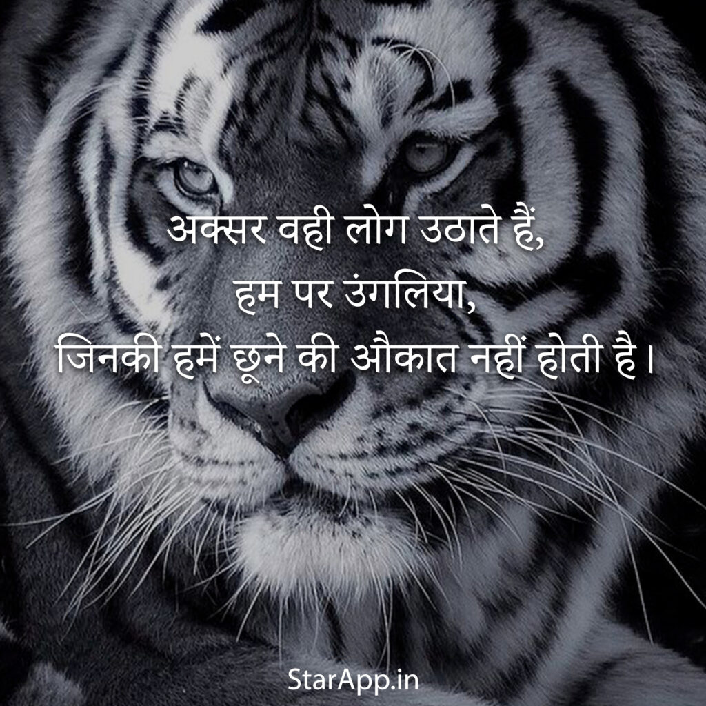 Best Attitude Status in Hindi & English