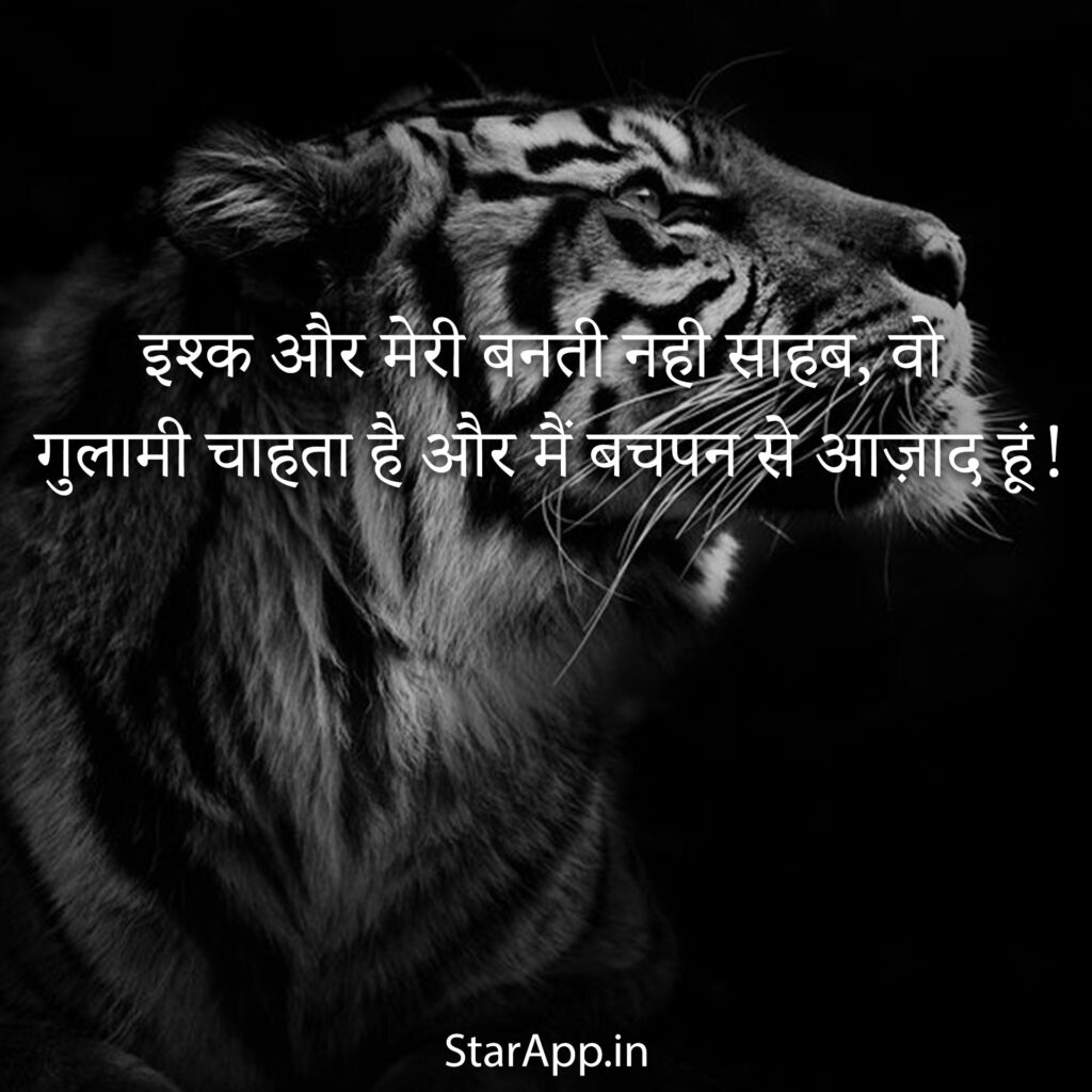 Attitude Status Updated Best High Attitude Status in Hindi