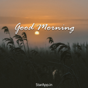 Happy Morning Quotes with Beautiful Images