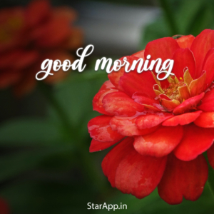 Download The Good Morning Images