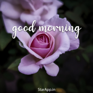 Good Morning Image in English Good Morning Emag Good Morning Images for Whatsapp and Facebook Hindi Shayari