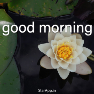 Suprabhat Good Morning Holidays GIF Suprabhat Good Morning Holidays Good Morning Hindi Discover & Share GIFs