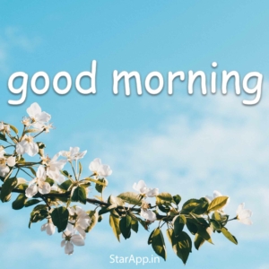 Good Morning Wishes In Hindi God