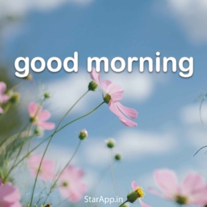 Top Good Morning Quotes in Hindi with Images