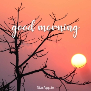happy wednesday images for good morning wishes quotes status in hindi