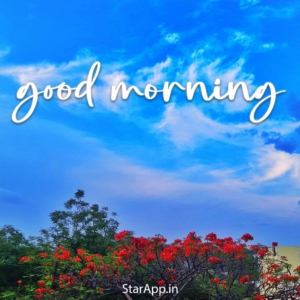 Good Morning Pictures In Hindi