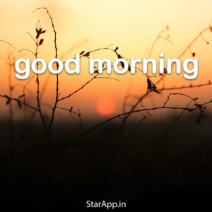 Happy Sunday Good Morning Images In Hindi