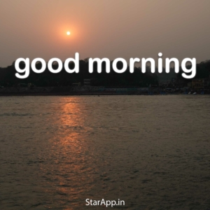 गुड मॉर्निंग चाय शायरी स्टेटस Good Morning Tea Shayari Status Quotes in Hindi