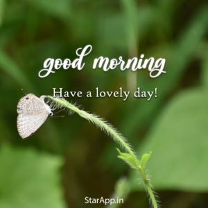 good morning shayari pic and Best Good Morning SMS in Hindi with images Dear Hindi Meaning in Hindi