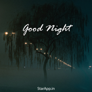 Poster Good night city