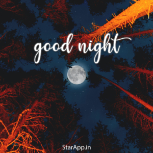 Good Night Wallpapers Hd Best Pictures Images & Photo