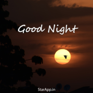 Top Good Night HD Pics Images For Brother