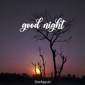 Good Night Love Images In Hindi With Quotes Shayari New