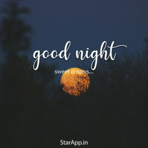 Wishes Of Good Night Messages For Your Love