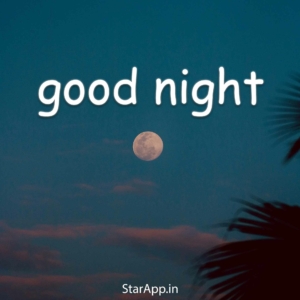 Good Night Wish in Hindi & More Best