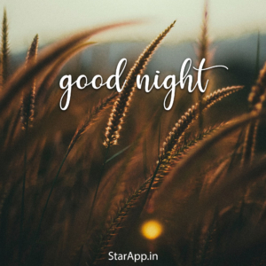 Ways to say have a good night cute ways to say goodnight