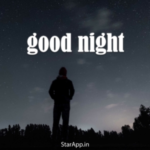 हिंदी Good Night status Images for Whatsapp in Hindi with captions