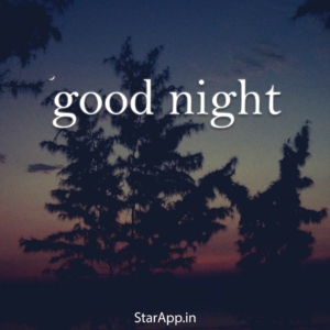 How do you say good night in Hindi How to say good night in Hindi