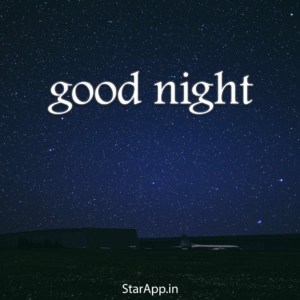 Best Funny Good Night Wishes In Hindi