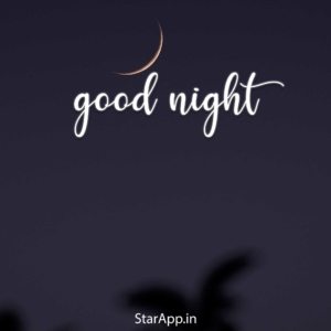 Lovely Good night Quotes in Hindi