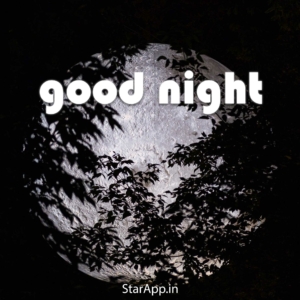 Good Night Message GOOD NIGHT QUOTES