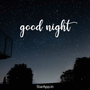 Good Night Messages in Hindi for WhatsApp gn msg sms hindi mai