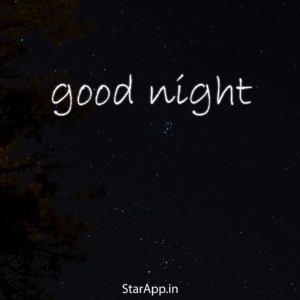 Good Night Quotes In Hindi For Girlfriend Romantic Good Night Shayari in Hindi