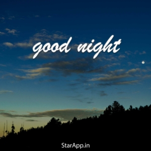 शुभ रात्रि,good night romantic shayari in hindi wishes whatsapp video lovely quotes in hindi