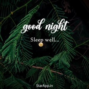 Good night hindi ideas good night hindi good night hindi quotes new good night images