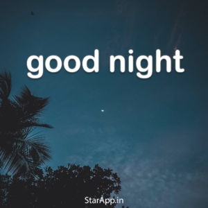 Good Night Kiss Shayari Hindi & More Best GOOD NIGHT Status Hindi