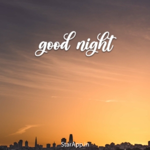 हिंदी Good Night status Images for Whatsapp in Hindi with captions
