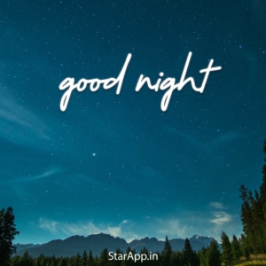 Good Night Quotes in Hindi Good Night in Hindi गुड नाईट कोट्स