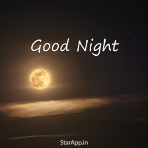 GOOD NIGHT IMAGE Collection