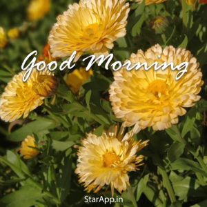 God Good Morning Images Photo Wallpaper Download
