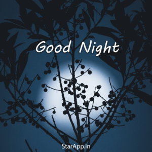 Buy Good Night Rajasthan Good Night Our World Book Online at Low Prices in India Good Night Rajasthan Good Night Our World Reviews & Ratings