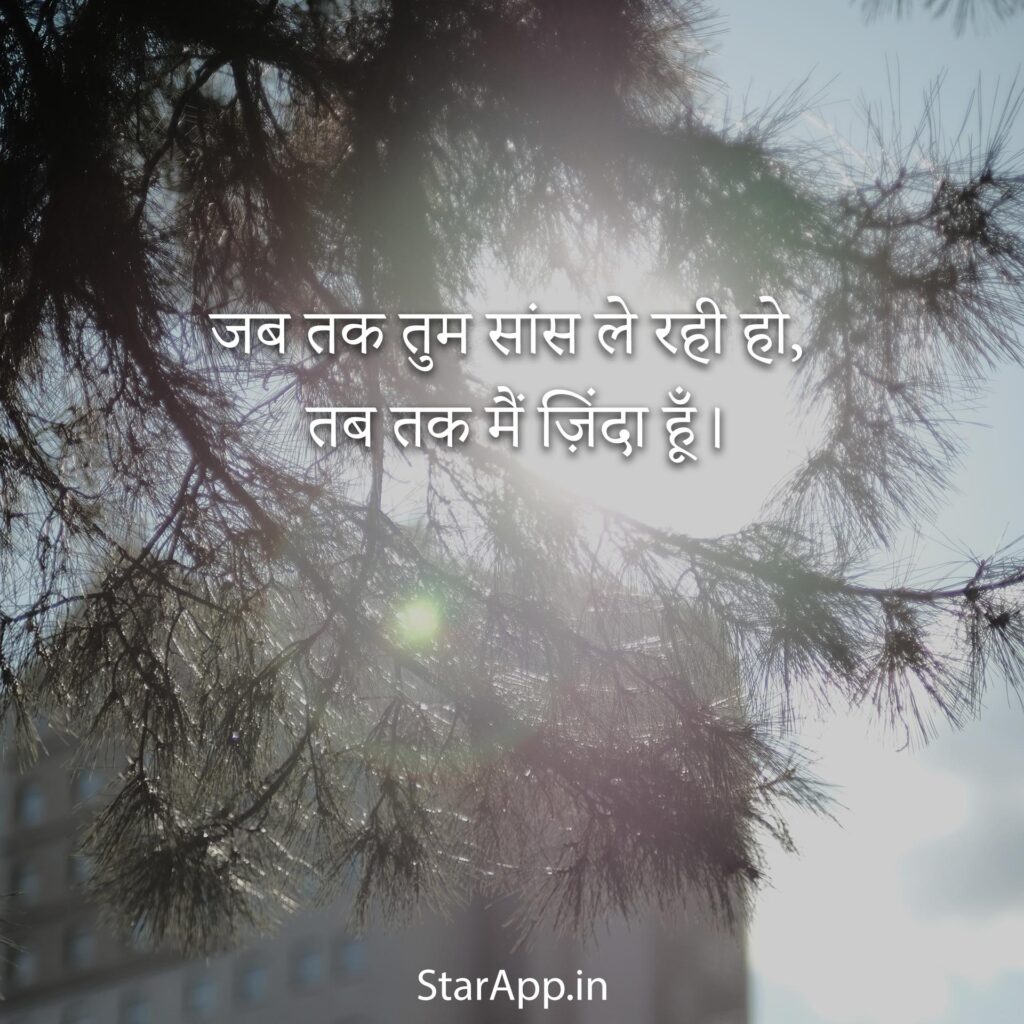 Propose Shayari In Hindi प्रपोज करने की शायरी I love u Shayari Hindi S