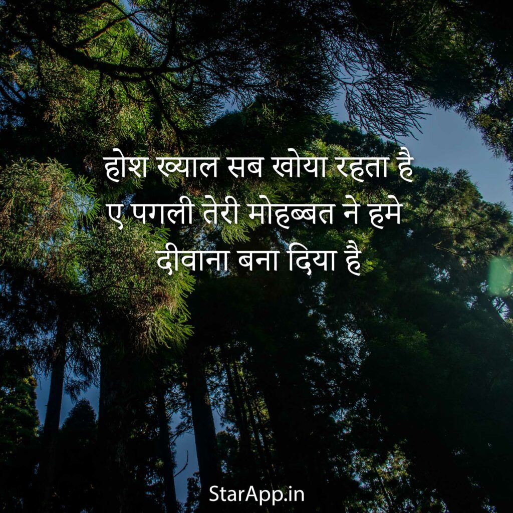 Best Fake Love Quotes In Hindi Fake Love Shayari Status DP
