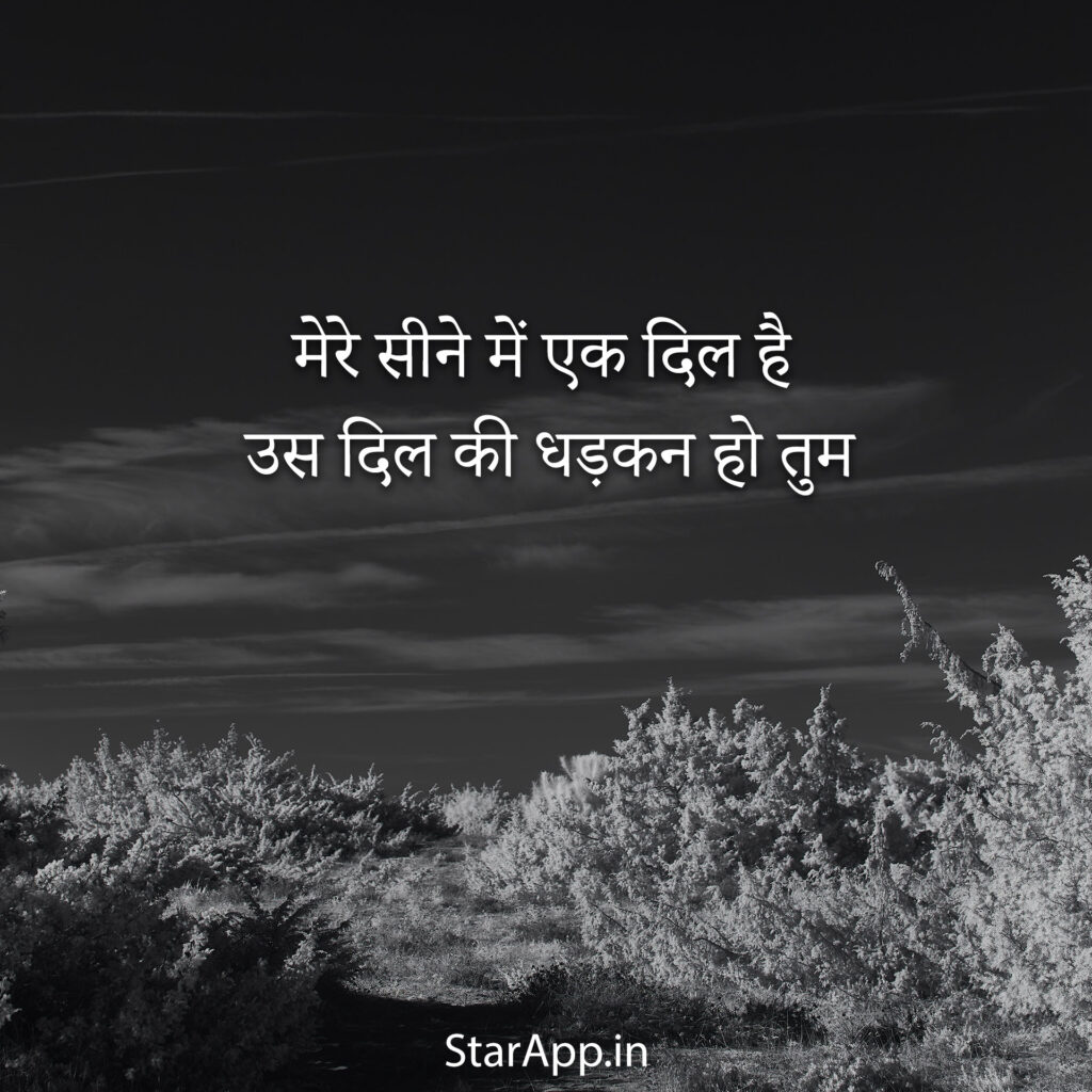 Sad Shayari कोई तुमसे सीखे सैड शायरी हिंदी में