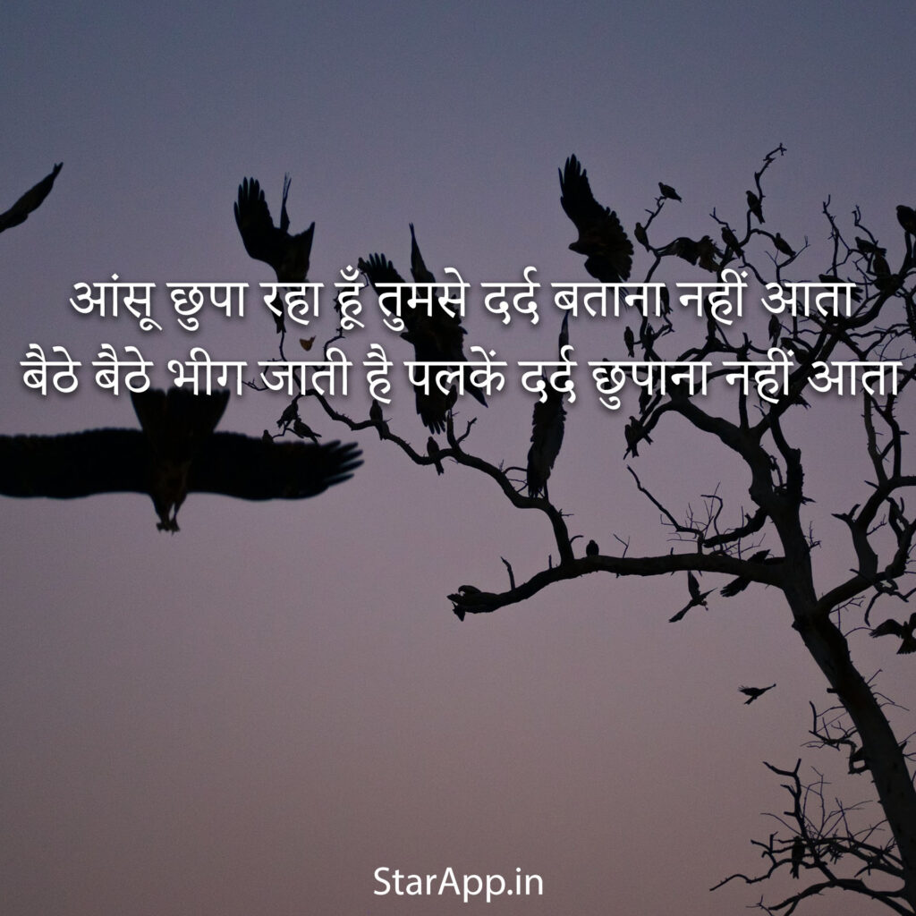 Sad Shayari In Hindi collection love Top Sayari Quotes