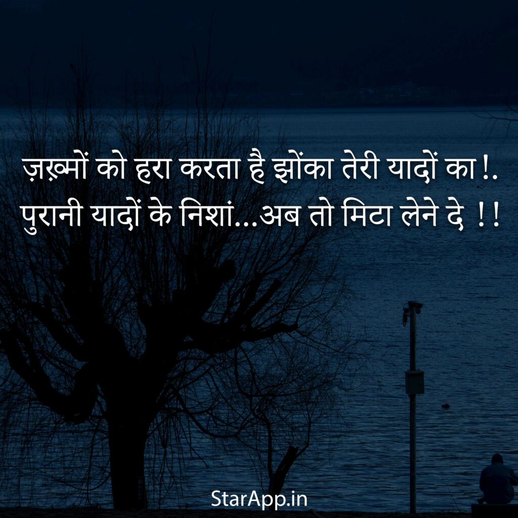 न्यू ईयर सैड शायरी New Year Sad Shayari in Hindi दुनियाहैगोल