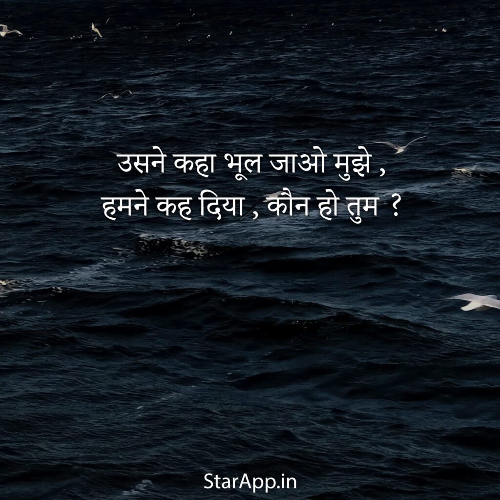 Pin on Hindi Sad Status