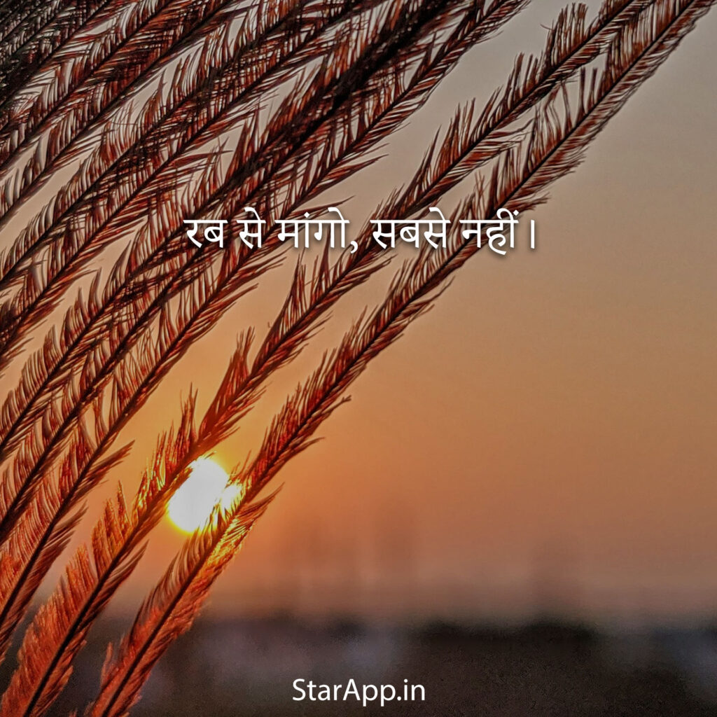 Sweet Status About Life Latest WhatsApp Status images